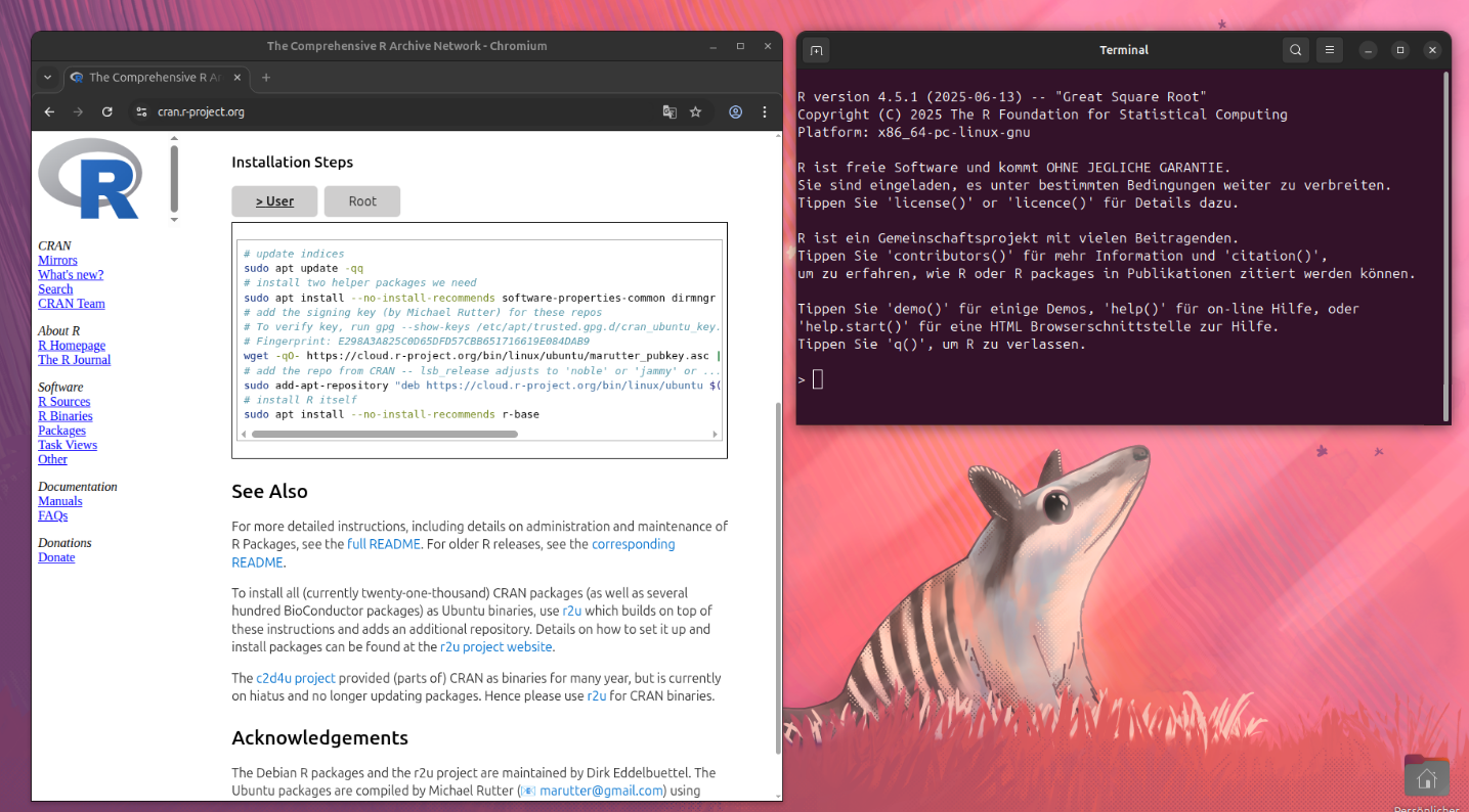 Ubuntu CRAN-Website Terminal